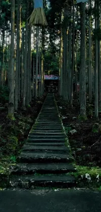 Transform your phone into a stunning forest retreat with this live wallpaper featuring a set of stairs in the middle of the greenery surrounded by dark pine trees and shrines