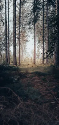 Transform your phone into a beautiful forest wonderland with this live wallpaper