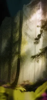 This phone live wallpaper features a beautiful forest scene filled with trees, diffused lighting, and a stunning sunset