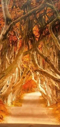 This phone live wallpaper features a stunning digital art of a mystical forest with dark hedges