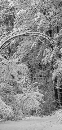This striking phone live wallpaper displays a black and white photo of a serene winter forest