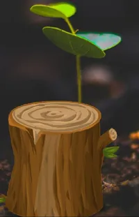 Plant Wood Terrestrial Plant Live Wallpaper