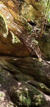 This phone live wallpaper features a stunning set of stairs ascending a cliff, a remarkable cave painting, and a massive wooden suspension bridge shot on the GoPro9 in Wisconsin