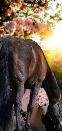 This stunning live wallpaper features a beautiful horse grazing in a field of colorful flowers