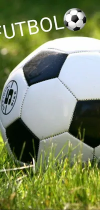 This live phone wallpaper showcases a vibrant soccer ball atop a lush green field, perfectly suited for soccer enthusiasts