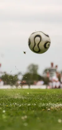 Ball Live Wallpaper