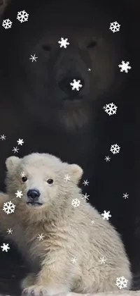 Polar Bear Black Organism Live Wallpaper
