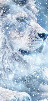 Polar Bear Carnivore Dog Breed Live Wallpaper