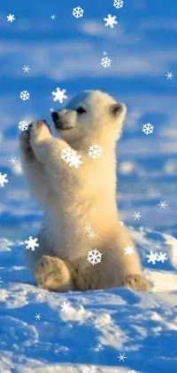 Polar Bear Carnivore Gesture Live Wallpaper