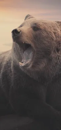 This phone live wallpaper showcases a brown bear standing on top of a rock