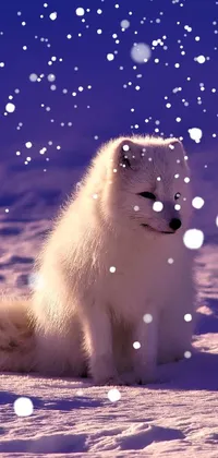 Snow Live Wallpaper
