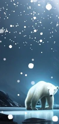 Polar Bear Liquid Light Live Wallpaper