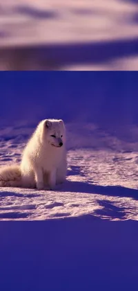 This live phone wallpaper showcases a small white dog sitting in the snow amidst a breathtaking winter landscape
