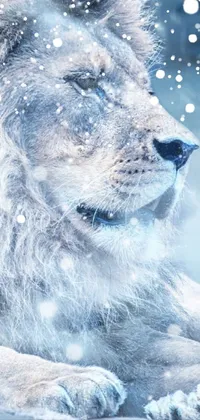 Lion snow Live Wallpaper