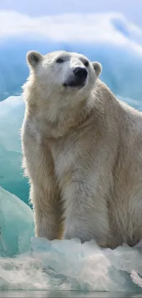 Nikhil  Live Wallpaper