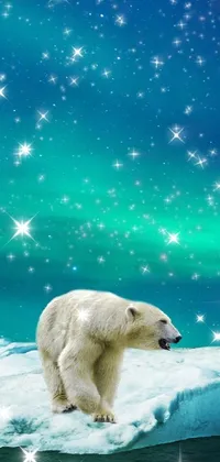 Ice Bear Live Wallpaper