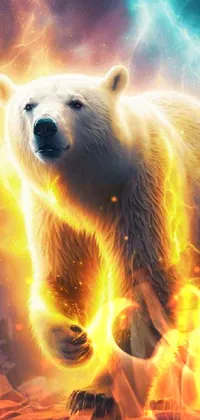 Polar Bear Vertebrate Carnivore Live Wallpaper