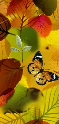 Pollinator Arthropod Botany Live Wallpaper