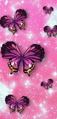 Pollinator Arthropod Butterfly Live Wallpaper