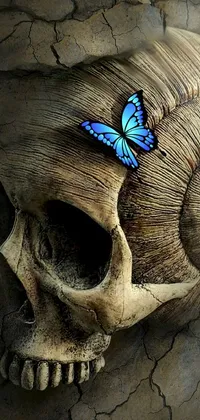 Butterfly On A Skull  Live Wallpaper
