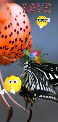 Butterfly loves flower for honey Live Wallpaper