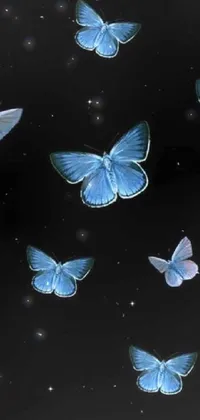 Pollinator Blue Butterfly Live Wallpaper