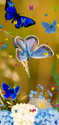 Pollinator Blue Butterfly Live Wallpaper