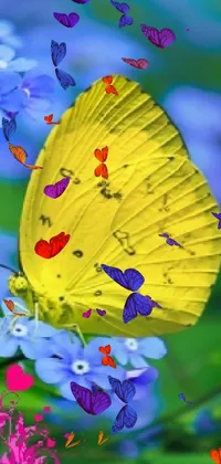 Pollinator Botany Butterfly Live Wallpaper