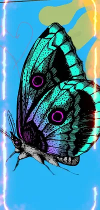 butterfly 🔥 fire Live Wallpaper