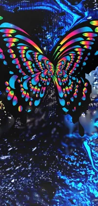 Pollinator Butterfly Arthropod Live Wallpaper