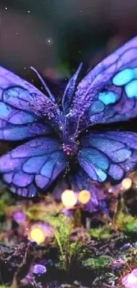 This stunning live wallpaper features a blue butterfly sitting on a moss covered ground, captured in a macro photograph that showcases its intricate wings