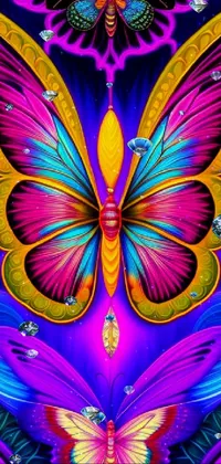 This dynamic phone live wallpaper features two colorful butterflies set on a sleek black background