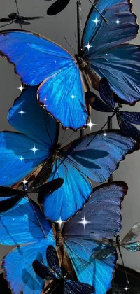 Blue Robot & Butterflies Live Wallpaper - free download