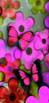 Pollinator Butterfly Flower Live Wallpaper