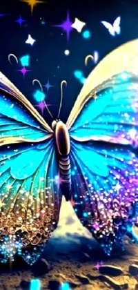 This captivating phone live wallpaper showcases a beautiful blue butterfly perched on a rock