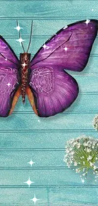 Pollinator Butterfly Insect Live Wallpaper