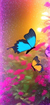 Pollinator Butterfly Insect Live Wallpaper
