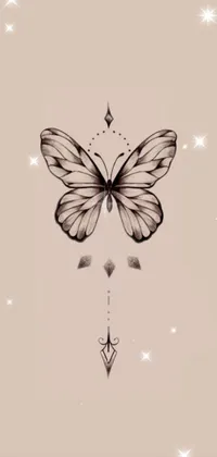 Pollinator Butterfly Insect Live Wallpaper
