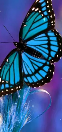The Blue Butterfly Live Wallpaper is a delightful addition to any phone screen