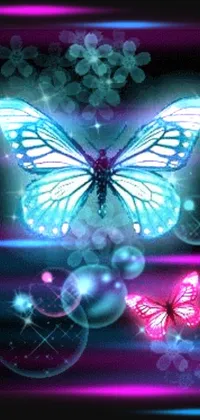 Pollinator Butterfly Insect Live Wallpaper