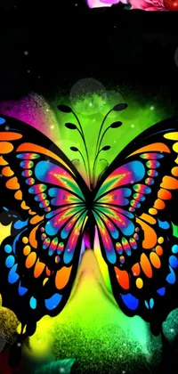 butterfly  Live Wallpaper