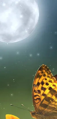 Pollinator Butterfly Liquid Live Wallpaper