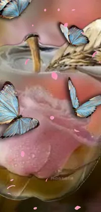 Pollinator Butterfly Pink Live Wallpaper