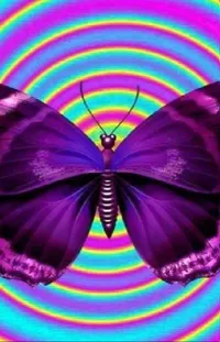 Pollinator Butterfly Purple Live Wallpaper