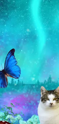 Pollinator Cat Blue Live Wallpaper
