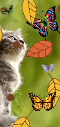 Pollinator Cat Insect Live Wallpaper