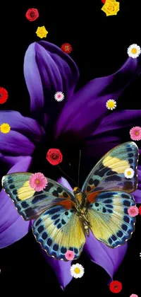 Pollinator Flower Butterfly Live Wallpaper