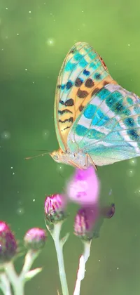 Transform your phone screen into a beautiful and lively nature scene with our Butterfly on Flower Live Wallpaper
