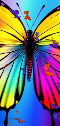 This vibrant live phone wallpaper features a stunning close-up of a colorful butterfly