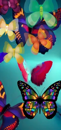 Enhance your phone's display with this stunning live wallpaper featuring a group of colorful butterflies in vibrant, deep saturated colors